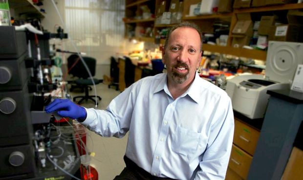 Las bacterias beneficiosas de la piel protegen contra el cancer cutaneo 2265 620x368