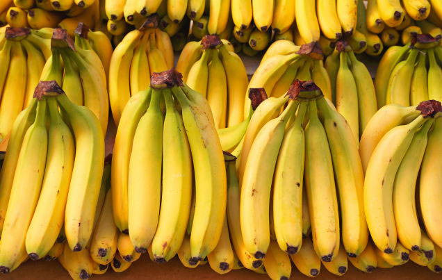 Guineo maduro banana