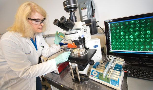 Un analisis de sangre detecta el cancer de pancreas en menos de una hora 9009 620x368