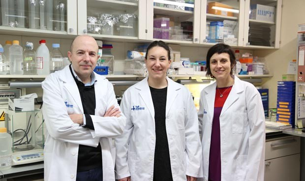 Cientificos espanoles demuestran que la neuromelanina origina el parkinson 2295 620x368