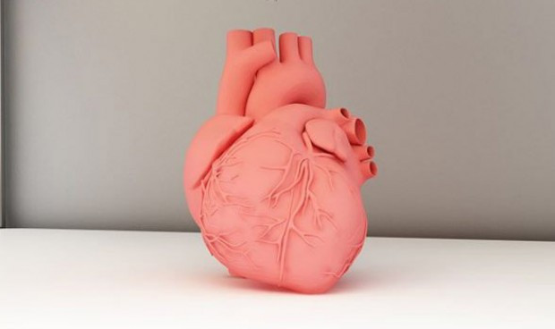 Logran imprimir en 3d partes del corazon con colageno y celulas humanas 7326 620x368