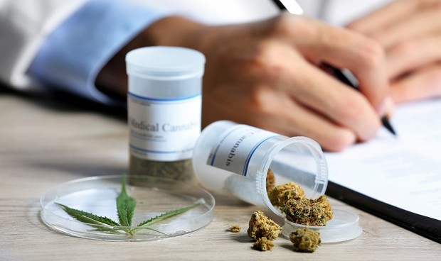 Psicologos descubren los peligros del cannabis para tratar el dolor intenso 3171 620x368