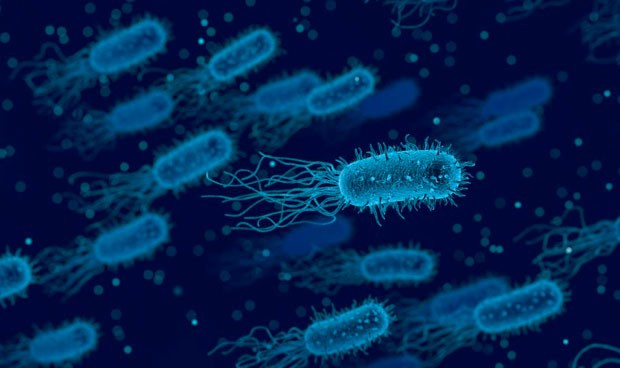 Nueva alerta por listeria retiran quesos franceses hechos con leche cruda 9823 620x368
