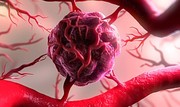 los nobel de medicina sentaron la base para terapias en cancer renal 7985 620x368