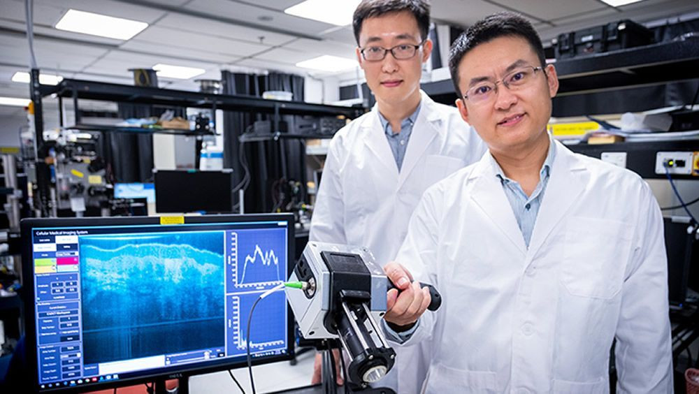 Disenan un dispositivo para detectar tumores debajo de la superficie de la piel foto universidad tecnologica de nanyang singapur 15 1000x564