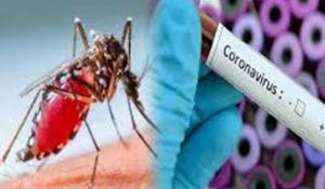 Dengue coronavirus 300x175