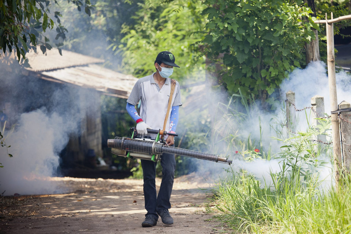 Fumigation for dengue virus