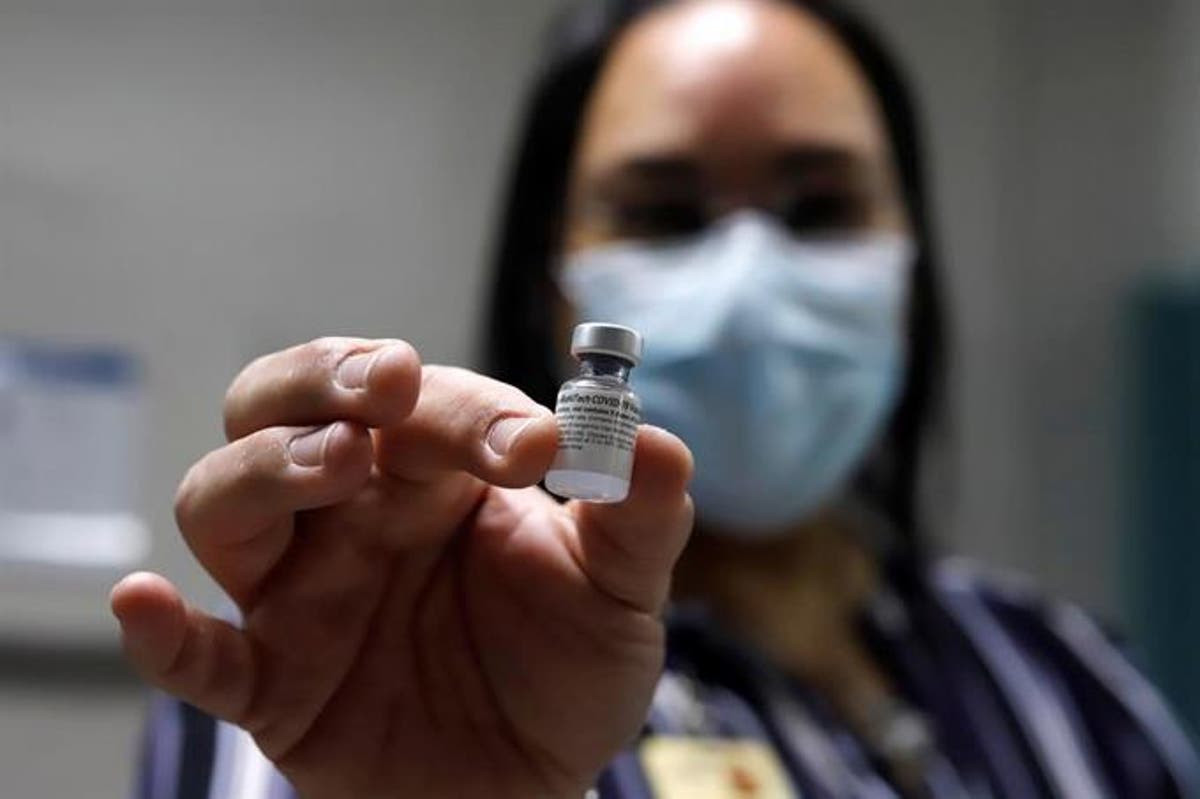 Cuales son las diferencias entre las vacunas de pfizer y moderna