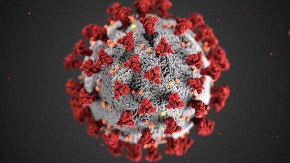 Coronavirus nature 580x326