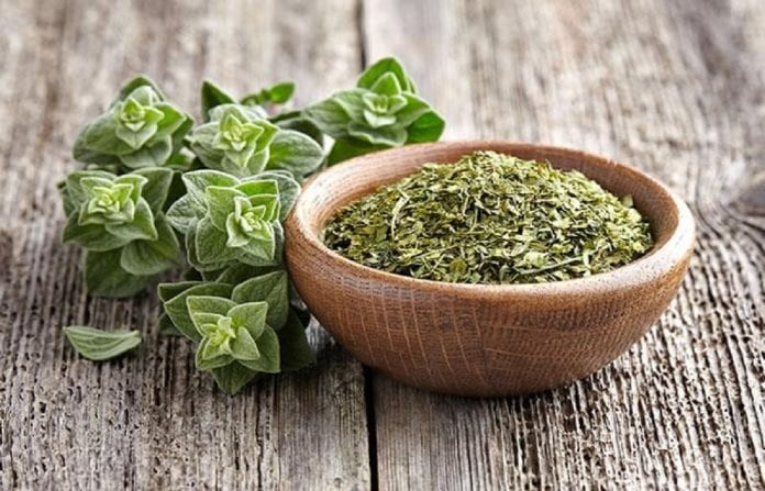 Oregano 696x447