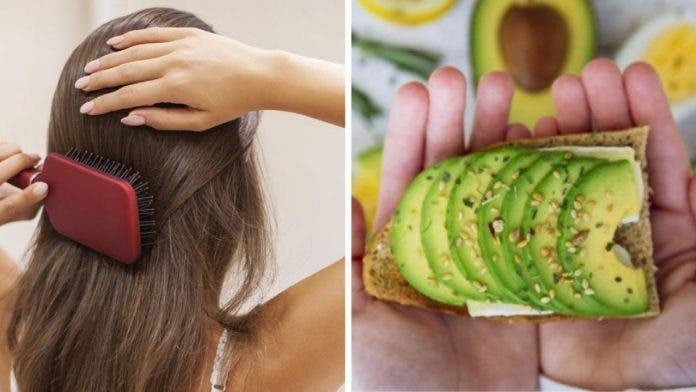 Alimentos para combatir la caida del cabello 0 696x392