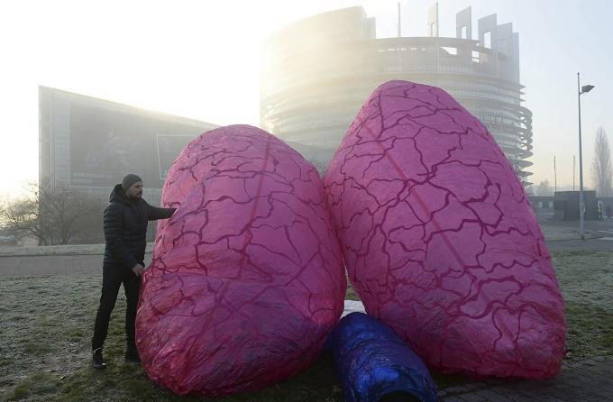 Los microorganismos que habitan en nuestros pulmones