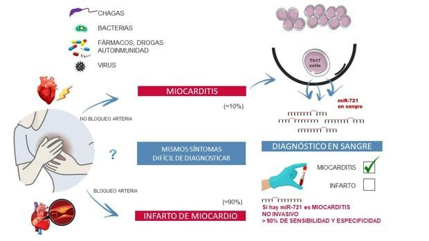 SchemeBiomarkermyocarditis kNWE  620x349@abc