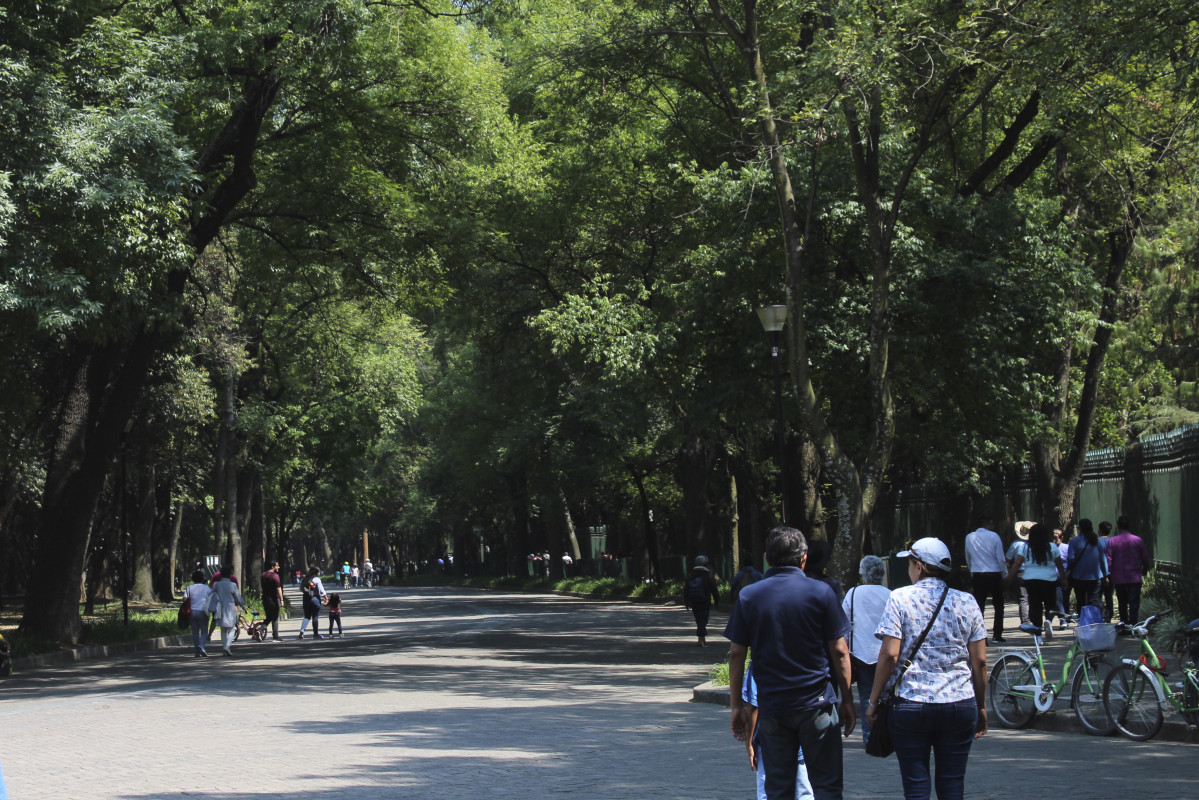 Zonas verdes
