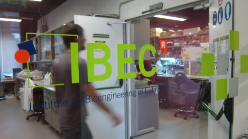 IBEC lab scaled e1634715251343