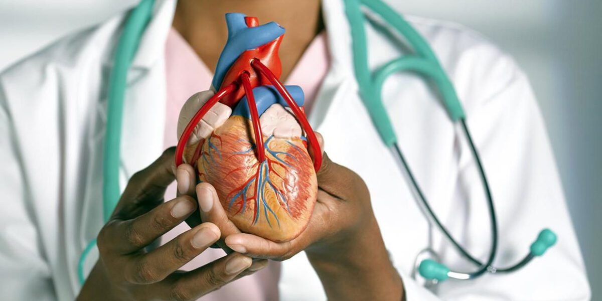 Enfermedades cardiovasculares 1200x600