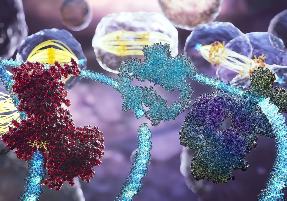 Cancer DNADamageResponseInhibitors RGk5x8XSc20kfNEOl5RHDJO 1200x840diario abc