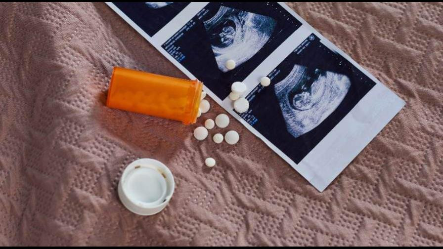 Region este registro 459 abortos en los primeros seis meses del ano focus min0.49 0.24 896 504