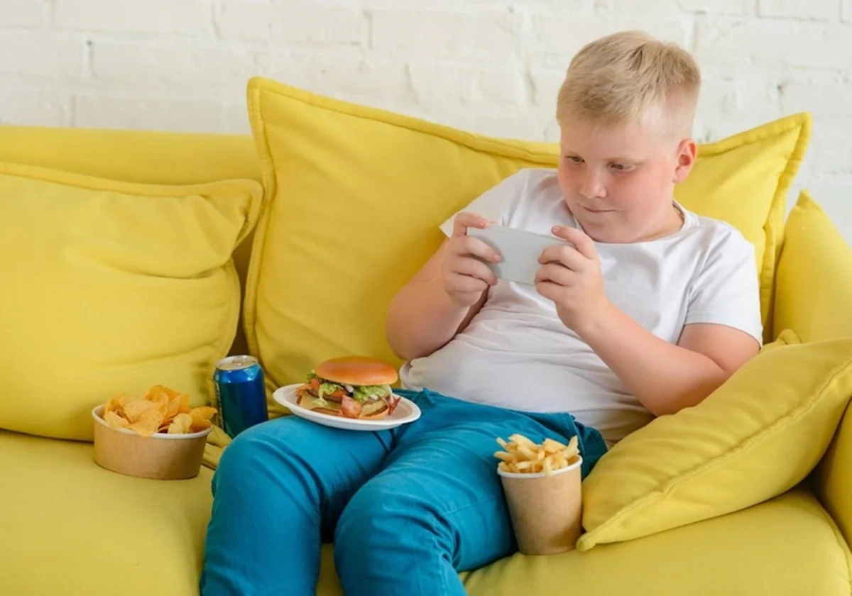 Obese boy