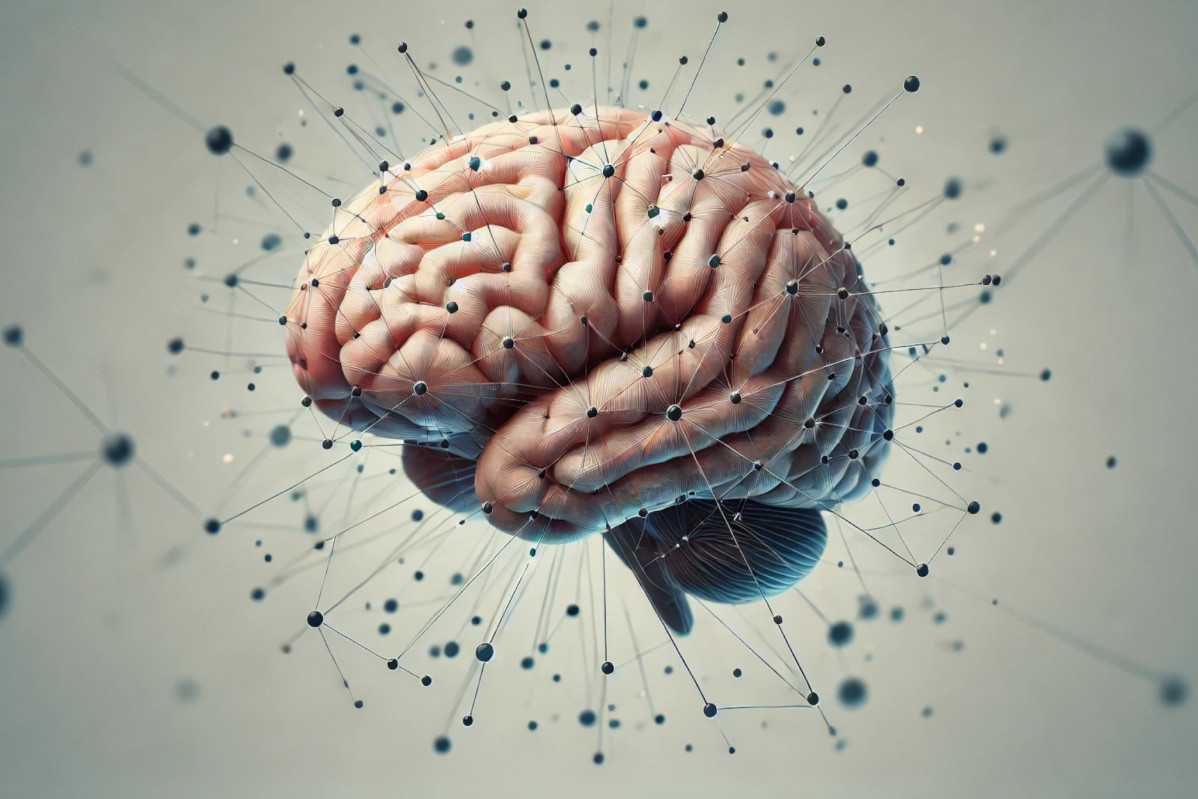 NotiPress   Cerebro humano Sergio F Cara (NotiPress Composiciu00f3n)