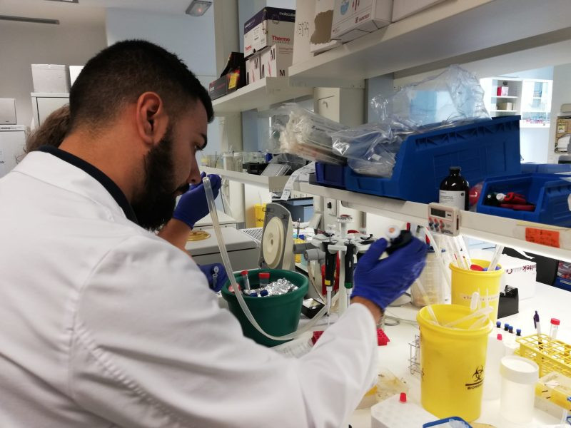 Esclerosisvirusepsteinbarrlaboratorio e1642449266873