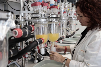 Digestion in vitro