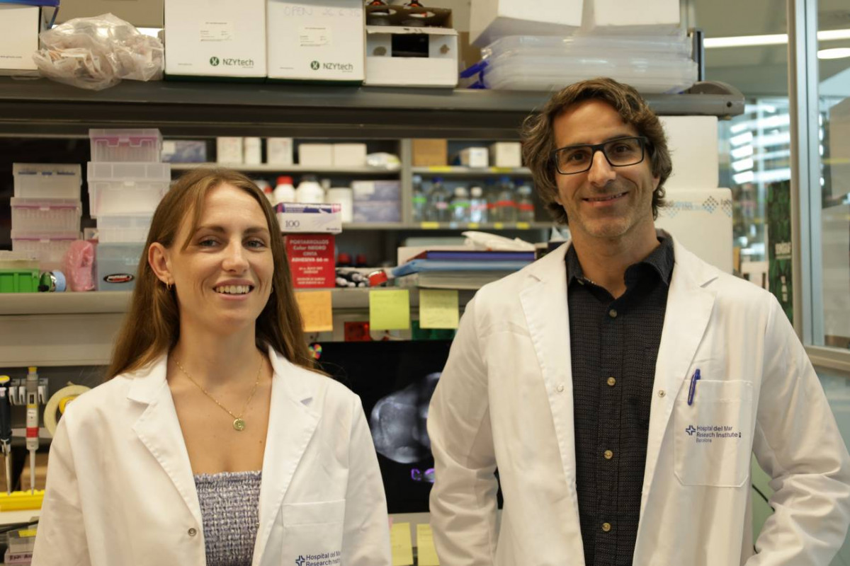 Identifican una nueva diana para evitar la metastasis en cancer de mama
