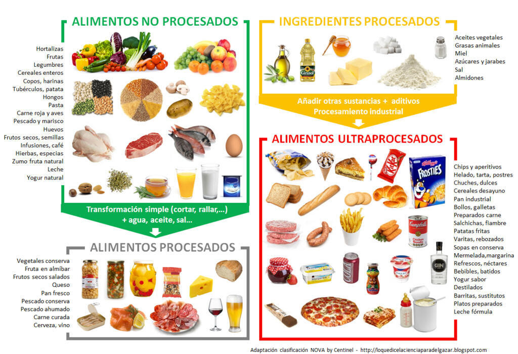 Clasificacionnovaprocesadosfeb2019